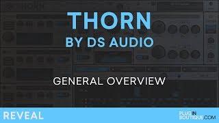 Thorn by DS Audio | Review of Features, Presets and Tutorial