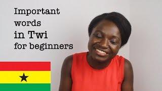 How to say "Please, Thank You, You're welcome..." in Twi ? - Learn Twi with Efia BAE #1