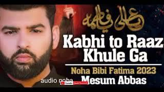 KABHI TO RAAZ KHULEGA slowed+reverb - YA ALI YA FATIMA | Mesum Abbas @Syedshazibhussain