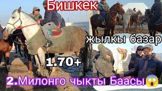 28.Декабрь укмуш соода болду ат 2. миллионго чыкт Бишкек пригородный жылкы базарда