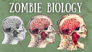 Zombie Biology Explained | The Science of Zombism