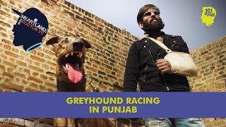 Greyhound Racing In Punjab | 101 Heartland With Doctor VC | Unique Stories From India
