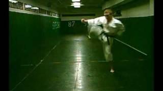 Shotokan Kata Training Video