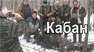 Охота на кабана в Закарпатской области|Hunting for wild boar in Ukraine