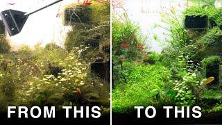 The Top Thing That Fixed My Aquascape & Saved Me Money | UNDR