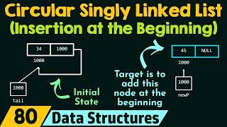 Circular Singly Linked List (Insertion at the Beginning)