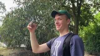 ICH war mit @appleprobros  im Zoo Hagenbeck!! // VLOG #5