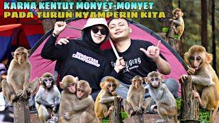 KETIKA KENTUT TIDAK BISA TERKONTROL ! MONYET PUN PADA TURUN !!