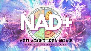  NAD + ~ Anti-Aging + DNA-Reparatur ~ Brunnen der ewigen Jugend ~ Sanfte Regengeräusche