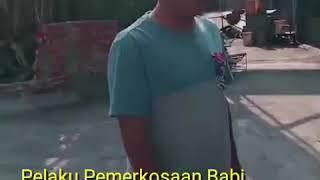 Perkawinan antara manusia dan babi