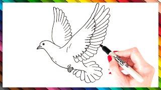 How To Draw A Dove Step By Step | EASY Dove Drawing Tutorial