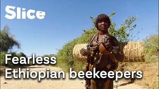 Domestic beekeeping in remote Africa | SLICE