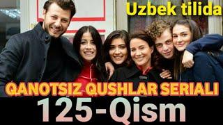 Qanotsiz Qushlar 125-Qism uzbek tilida Канотсиз Кушлар 125-Кисм узбек тилида