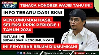 Info Terbaru Dari BKN! Instansi Ini Sudah Siap Mengumumkan Hasil Kelulusan PPPK Periode 1 Tahun 2024