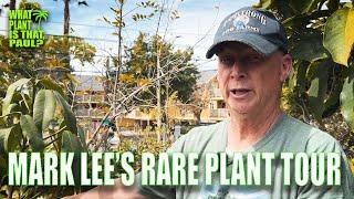 MARK LEE's RARE PLANT TOUR  / OVER 1 HOUR of RARE PLANT POWER