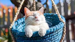 Ultimate Sleep Aid for Anxious Cats - Deep Sleep Cat Music for Anxiety! EXTREMELY Favorite Cat Music