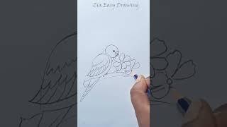 Beautiful Parrot drawing Love Birds Drawing so easy #art  #shorts #Critive