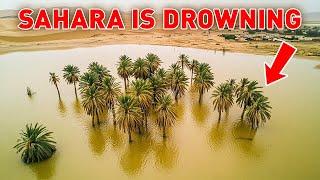 What's Causing the Sahara Desert to FLOOD After 50 Years of Drought?