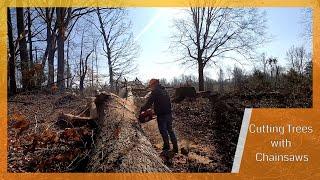 Cutting Trees with Chain Saws