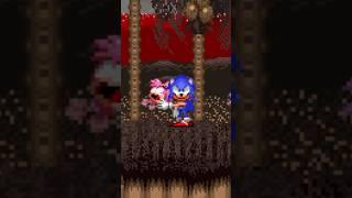 ALL SALLY.EXE RETAKE D3ATH SCENES #shorts #sonic #exe #sally #sallyexe #sega #fangame #luigikid