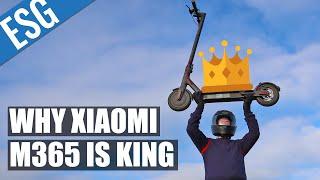 Why the Xiaomi M365 is the Most Popular Scooter in the World | Xiaomi Mi M365 Review