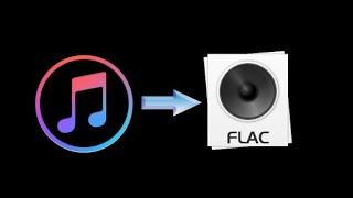 Wie Apple Music in FLAC konvertieren？