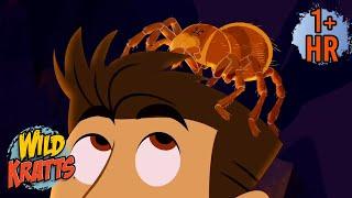 Chris Finds a Goliath Tarantula | Happy Halloween | New Compilation | Wild Kratts