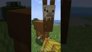 5 FAKTA MENARIK TENTANG LLAMA DI MINECRAFT - Fakta Unik Minecraft Indonesia