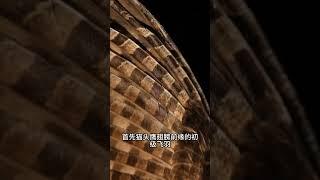 仿猫头鹰翅膀的叶片，可以降低螺旋桨噪音，同时提升工作效率。 #smartphone #仿生学 #螺旋桨叶片