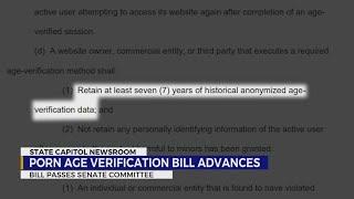 Porn age verification bill advances