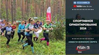 спортивное ориентирование 2024