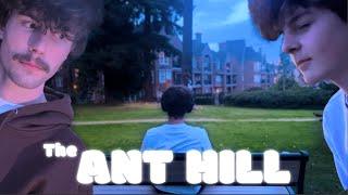 The Ant Hill