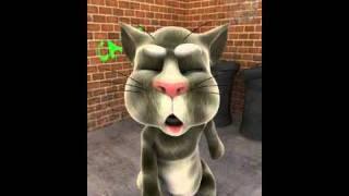 Talking Tom Ninja