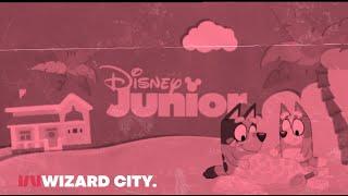 Disney Junior CEE [Polish] - Continuity with Ads [June 3, 2024]