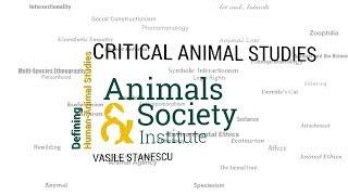 Defining Critical Animal Studies with Vasile Stanescu - ASI's Defining Human-Animal Studies 38