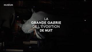 La Grande Galerie de l'Évolution de nuit