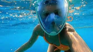 Red Sea snorkeling in Sharm El Sheikh: Egypt 2022