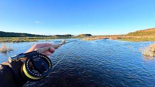 Blown out Creek, Unusually Large Trout (Fly Fishing)