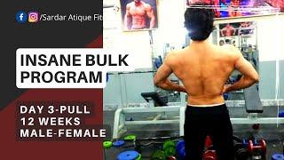 INSANE BULK "DAY 3- PULL"- 12 weeks Muscle Building Program | Sardar Atique | #Bodybuilding #fitness