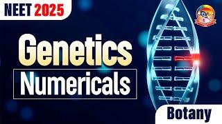 Genetics Numericals - NEET Botany || Cover Important Concepts || NEET 2025 || @srichaitanyagosala