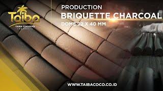 Production Briquette Charcoal Dome 22 x 40 MM