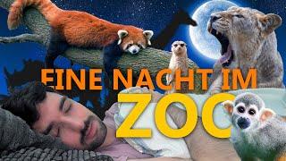 Wie ist es in einem Zoo zu übernachten?