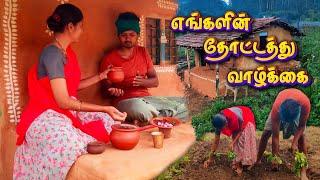 Our DAILY LIFE in VILLAGE FARM | RURAL LIFE in MUD HOUSE | Tamil Native Farmer