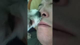 intense nose and face dog lick licking ASMR