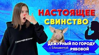 Настоящее свинство | Скотный двор в жилом секторе Улан-Удэ| ДПГ. Неделя