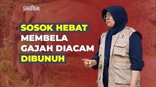 Sosok Hebat Membela Gajah Diacam Dibunuh