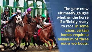 A Look at how Horses Enter the Starting Gates - Richard D Schibell Racing