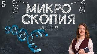 Микроскопия. Как пользоваться световым микроскопом. Лекция из курса "Биология как наука"