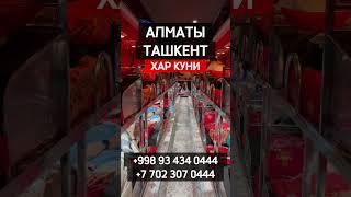 Алматы Ташкент спальный салон автобус #алматы #ташкент #спальныйсалон #автобус