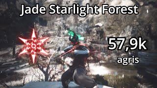 BDO | Succession Ninja | Jade Starlight Forest | 57,9k yellow + agris